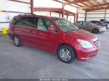  Salvage Honda Odyssey