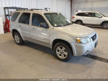  Salvage Ford Escape