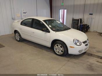  Salvage Dodge Neon