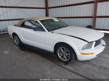  Salvage Ford Mustang