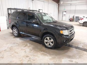  Salvage Ford Escape