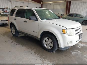  Salvage Ford Escape