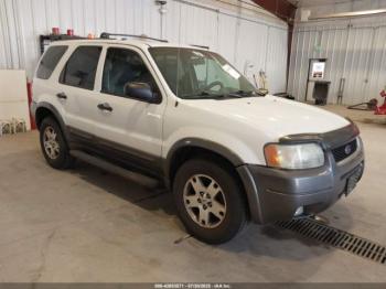  Salvage Ford Escape