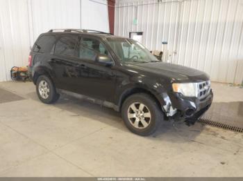  Salvage Ford Escape