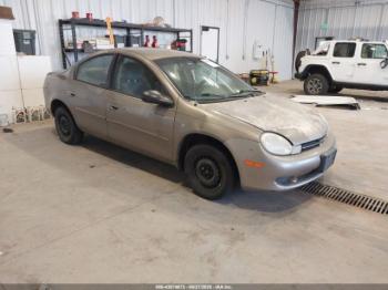  Salvage Dodge Neon
