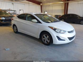  Salvage Hyundai ELANTRA