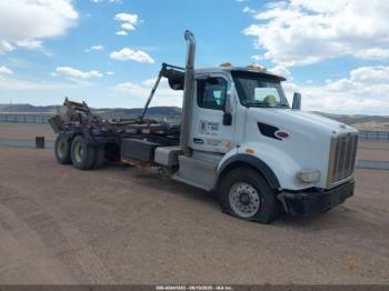  Salvage Peterbilt 567