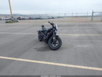  Salvage Harley-Davidson Rh1250