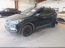 Hyundai SANTA FE 2.4l Image 16