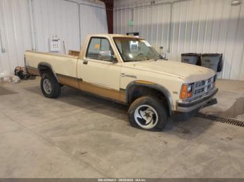  Salvage Dodge Dakota