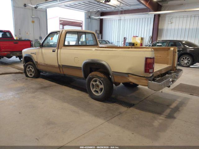 Dodge Dakota Image 4