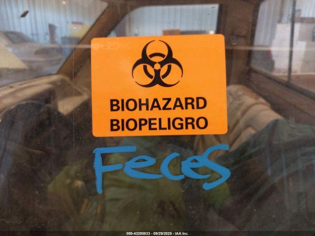 Dodge Dakota Image 11