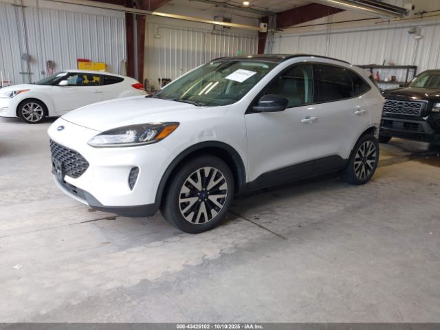 Ford Escape Se Sport Hybrid Image 7