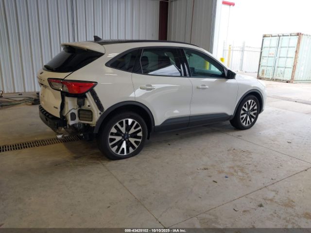 Ford Escape Se Sport Hybrid Image 6