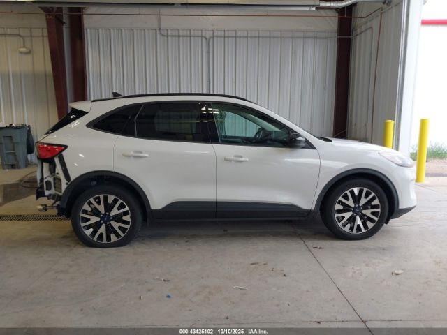 Ford Escape Se Sport Hybrid Image 12