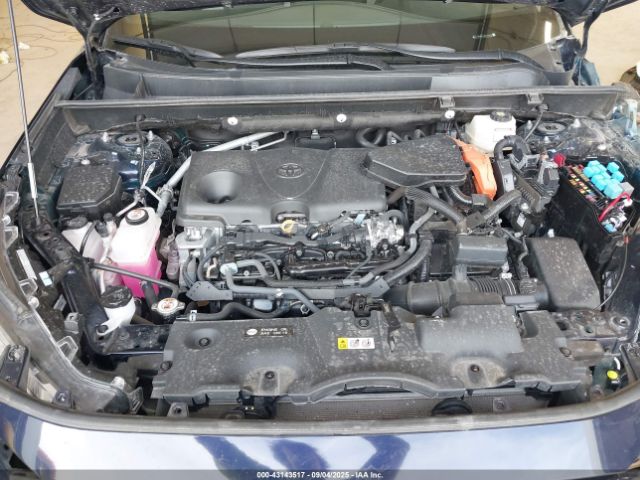 Toyota RAV4 Xle Image 8