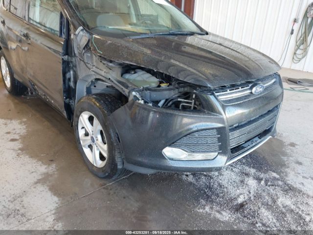 Ford Escape Se Image 7