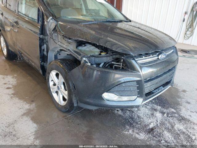 Ford Escape Se Image 7