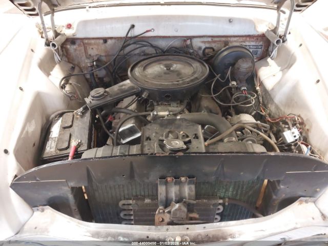 Checker Marathon Image 13