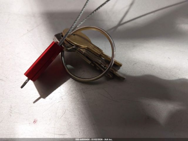 Checker Marathon Image 5