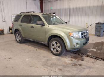  Salvage Ford Escape