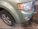 Ford Escape Xlt Image 3